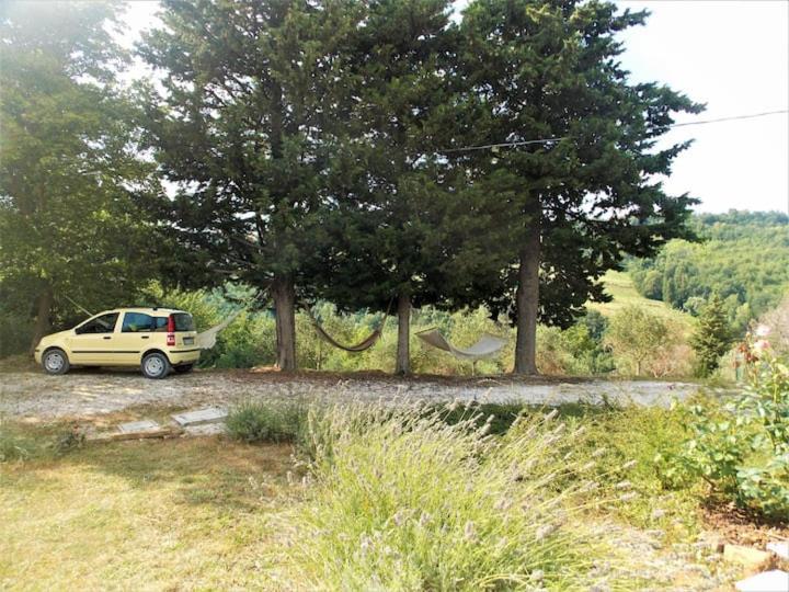 L'Alboreto Salvatico Homestay Serra San Quirico Exterior foto