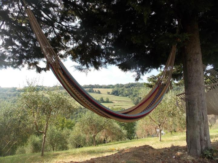 L'Alboreto Salvatico Homestay Serra San Quirico Exterior foto