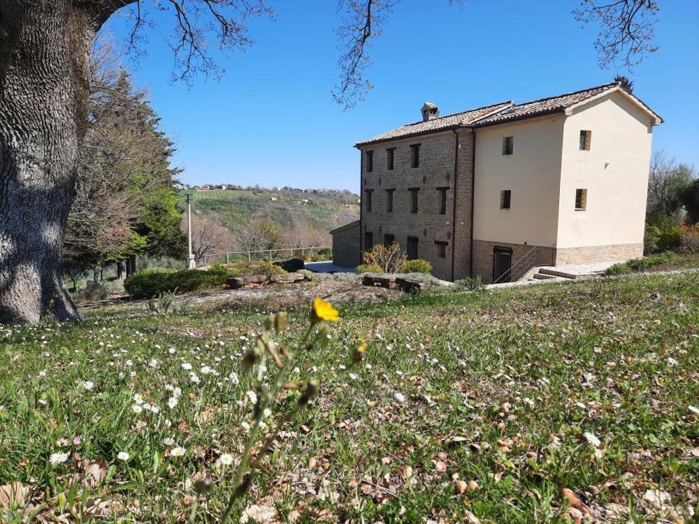 L'Alboreto Salvatico Homestay Serra San Quirico Exterior foto
